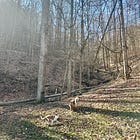 🪷To radically look for more