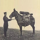 Mountain Guns in 1919