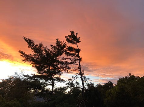 pumpkins and a sunset sky