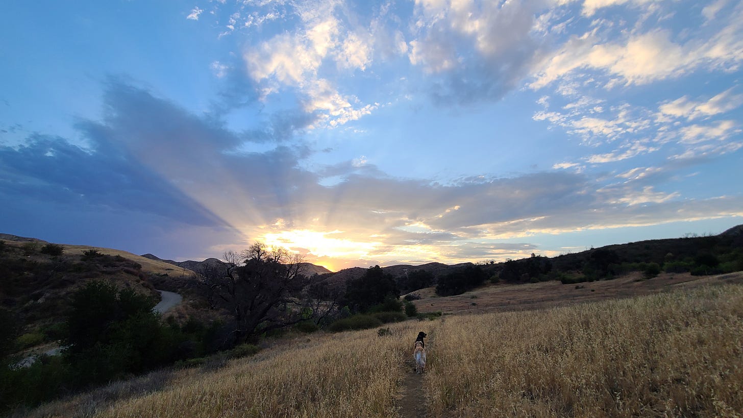 Image of sunrise over a meadow with my dogs on the trail