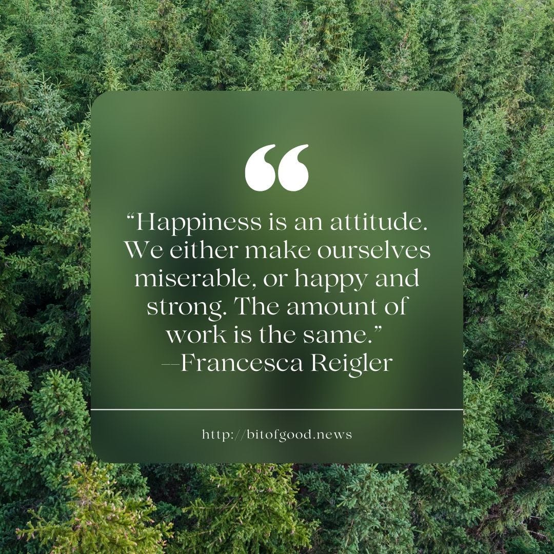 Promo for A Bit of Good News features a forest and a quote by Francesca Reigler: "Happiness is an attitude. We either make ourselves miserable, or happy and strong. The amount of work is the same."