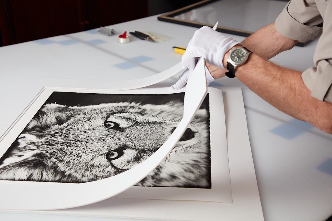 matting a print