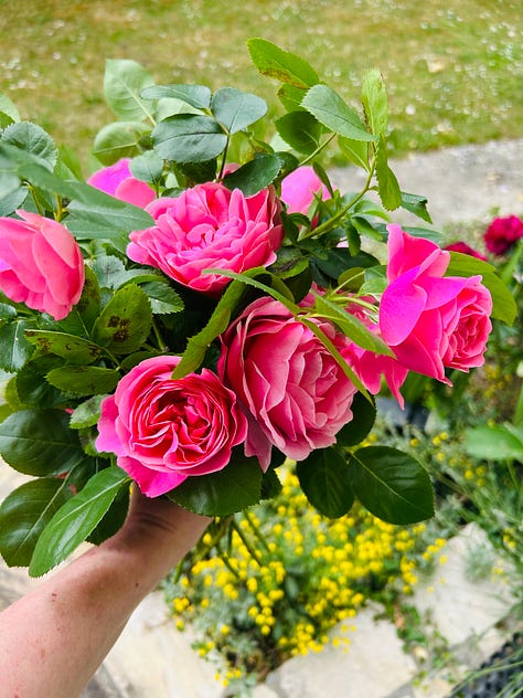 Different scenes from summer in France. A green garden with bench; a river with a table set for lunch in the water; a father and his kids; a classic red and white checked French tablecloth: Karen Bussen at home in her gardening apron; lunch plates from the Moulin de Flagy; and scenes of sunset and flowers in France