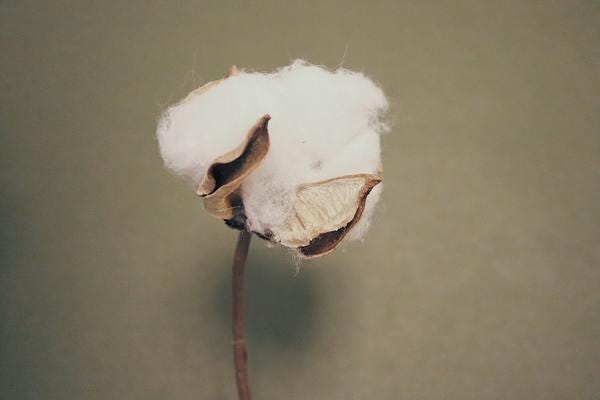 Photo by Nancy Yang on Unsplash
