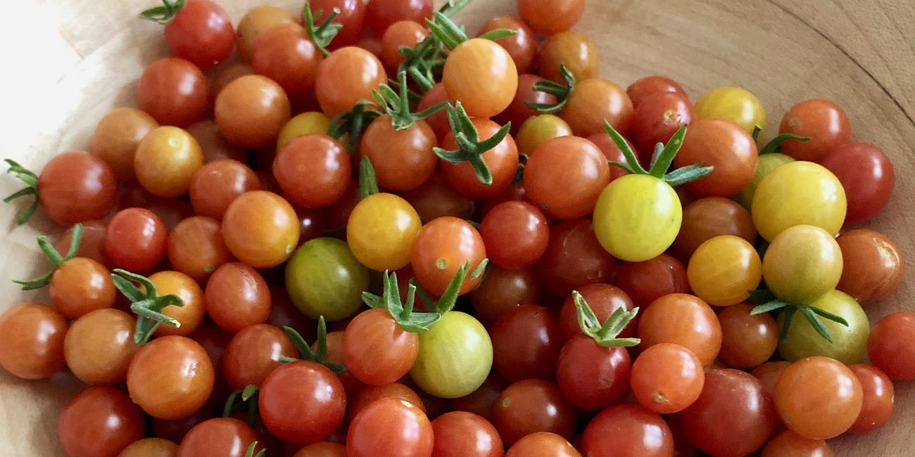 August 2026 Garden Keeping Checklist
