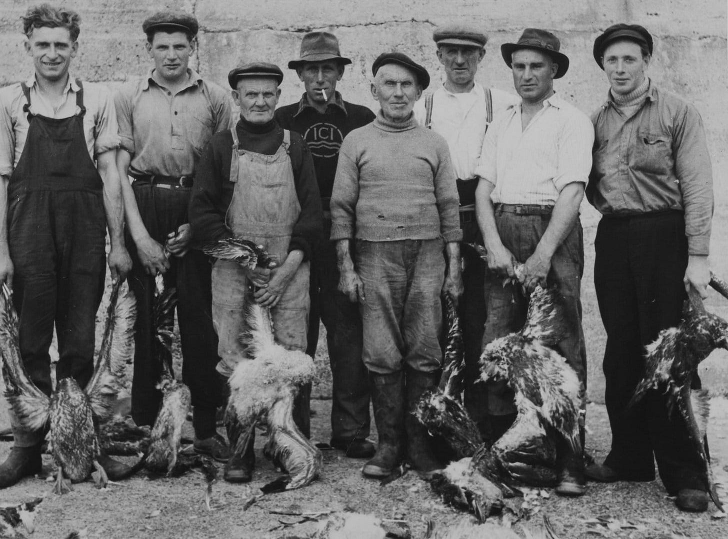 Guga Hunters on the Breakwater in Ness. Photo by James McGeoch Guga Hunters on the Breakwater in Ness. Photo by James McGeoch