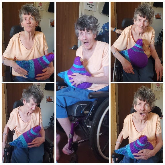 Emotional Support Chickens, Theft! Cluck Yeah, A NURSING HOME TALE
