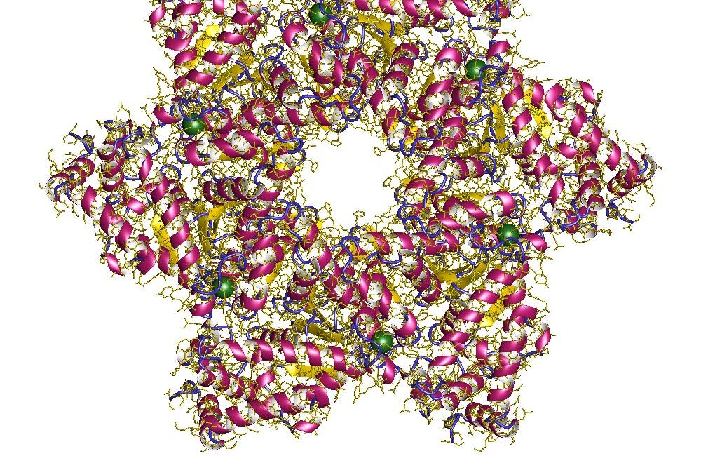 SV40 origin of replication in mammalian cells in absence of SV40 Large T-Antigen
