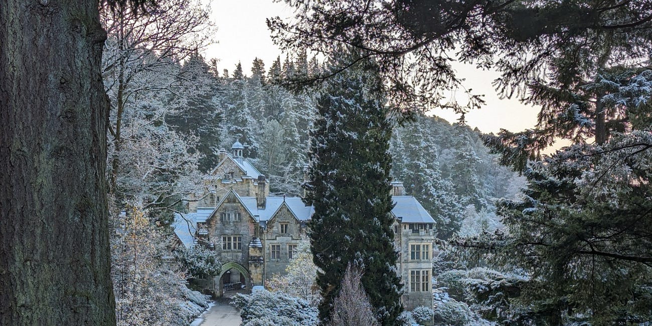Northumberland estate lights up world’s tallest living Christmas tree