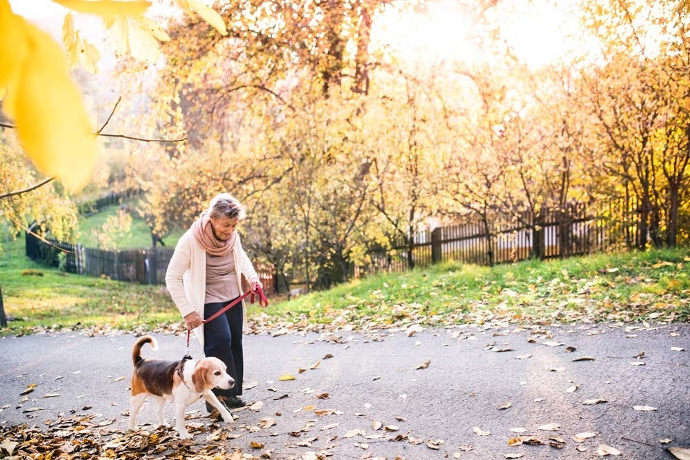 Image of an elder enjoying a leisurely walk outdoors with her dog.