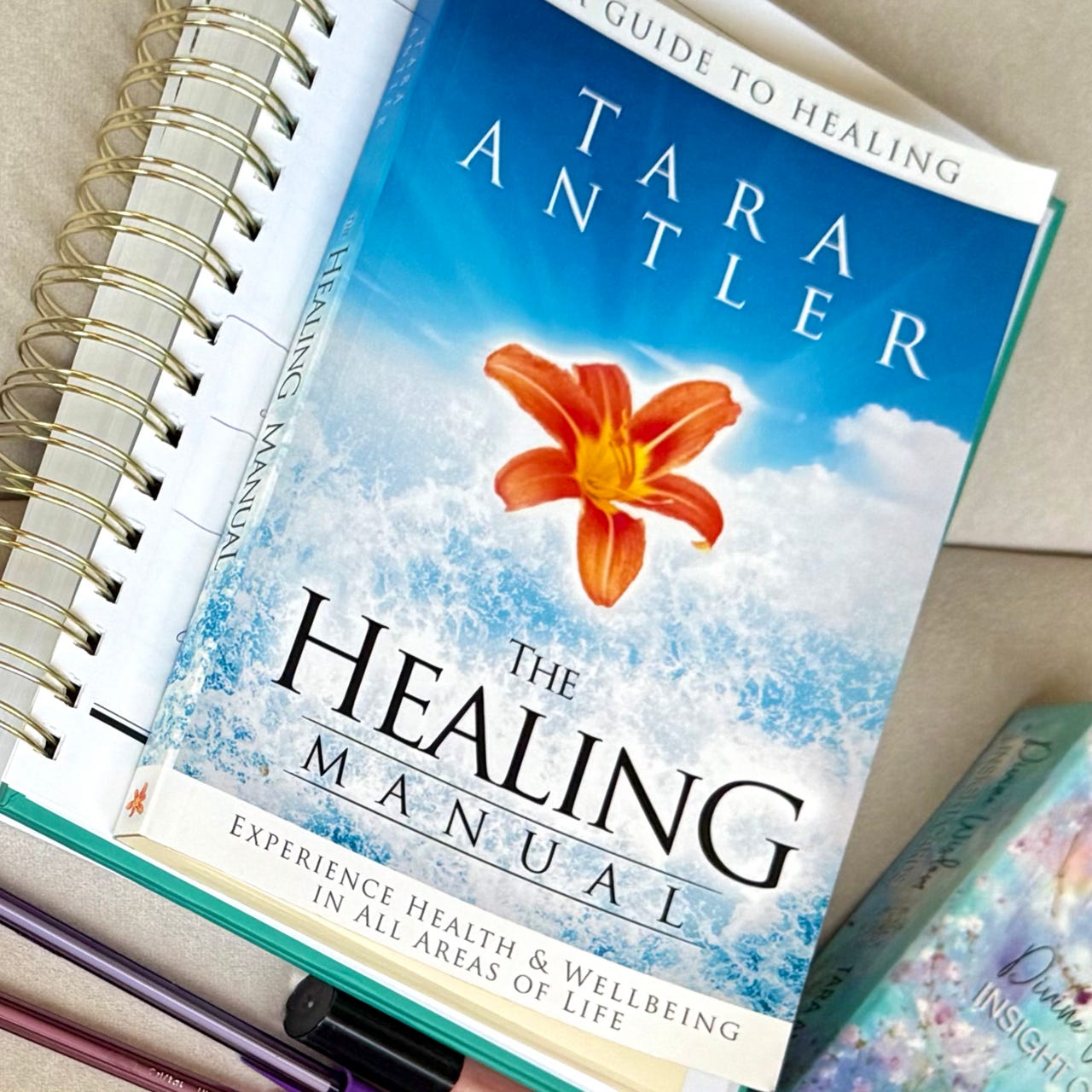 Tara Antler - The Healing Manual Journey