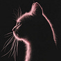 Kaitlyn Atif's avatar