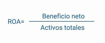 Resultado de imagen de roa ratio