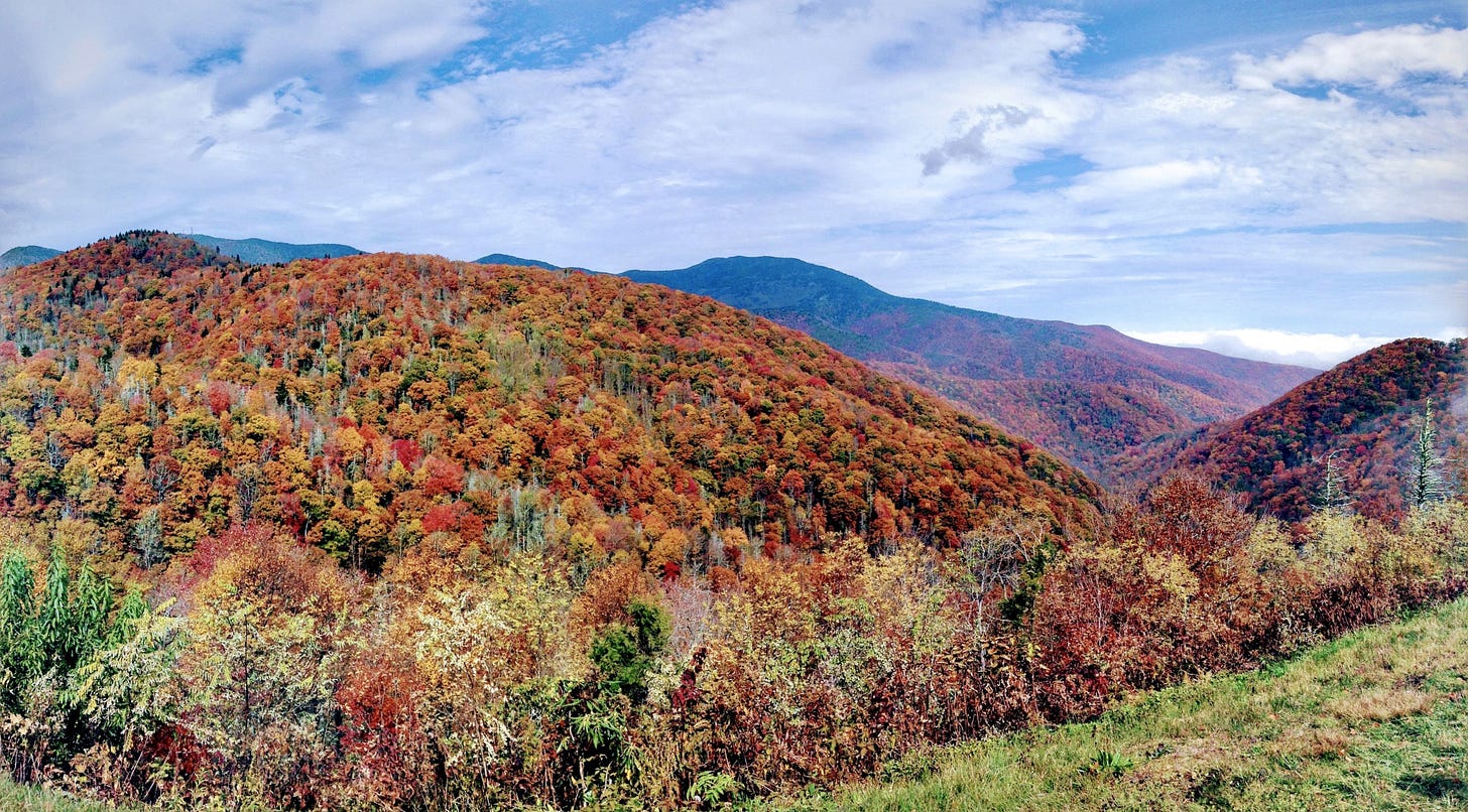 Things to Do in Black Mountain in 2025 | Expedia