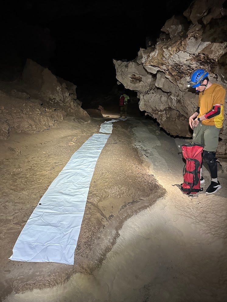 white tarp crossing a dirt bank to the left of Snowy while Snowy goes under a low roof white tarp crossing a dirt bank to the left of Snowy while Snowy goes under a low roof