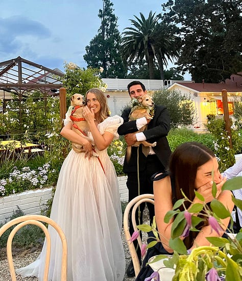 photo of greg and rachel coming down aisle, photo of large cake that's 4 feet long, and photo of rachel and greg with their dogs at wedding