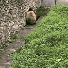 I Had That Dream Again. Tabs, Fri., Oct. 11, 2024