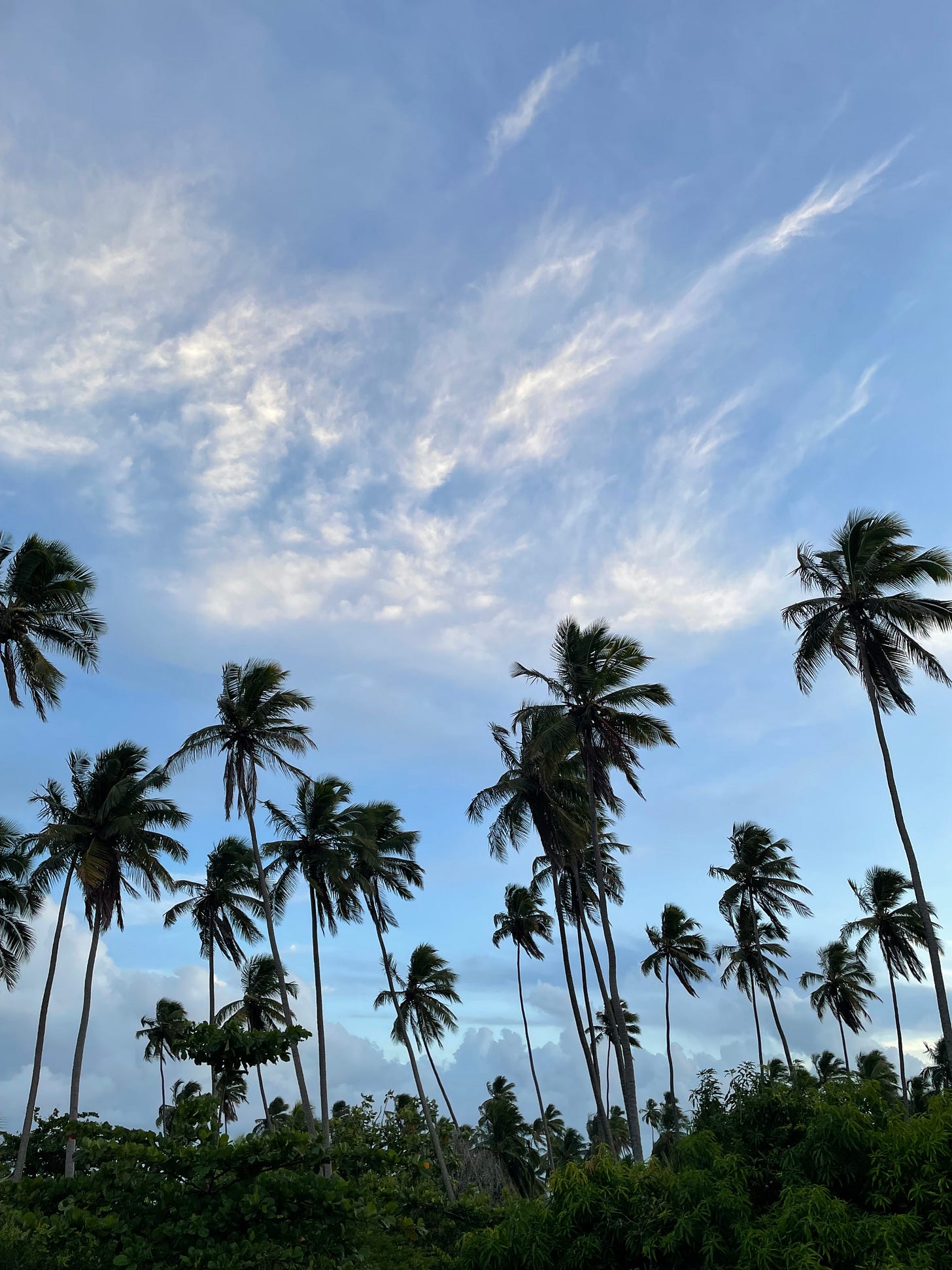 Férias inesquecíveis em Alagoas.