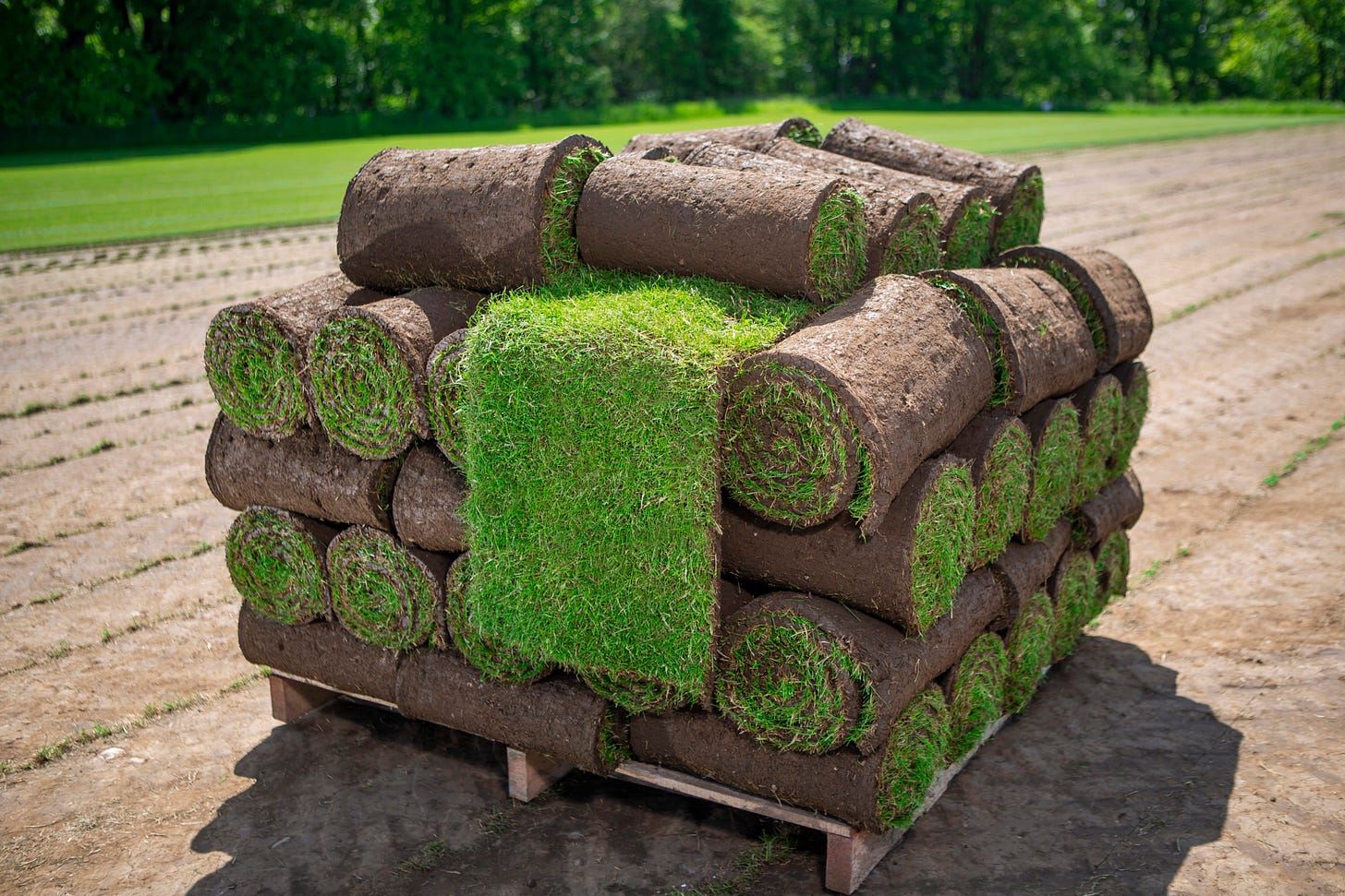A square wooden pallet with 68 rolls of grass terf stacked on it in four layers of 15 and 8 on the top layer. One roll is half unrolled with a grass layer hanging down the front like a tongue. The pallet sites on a field of dirt where the layers were removed. You can see a grass field and the bottom of trees in the background.
