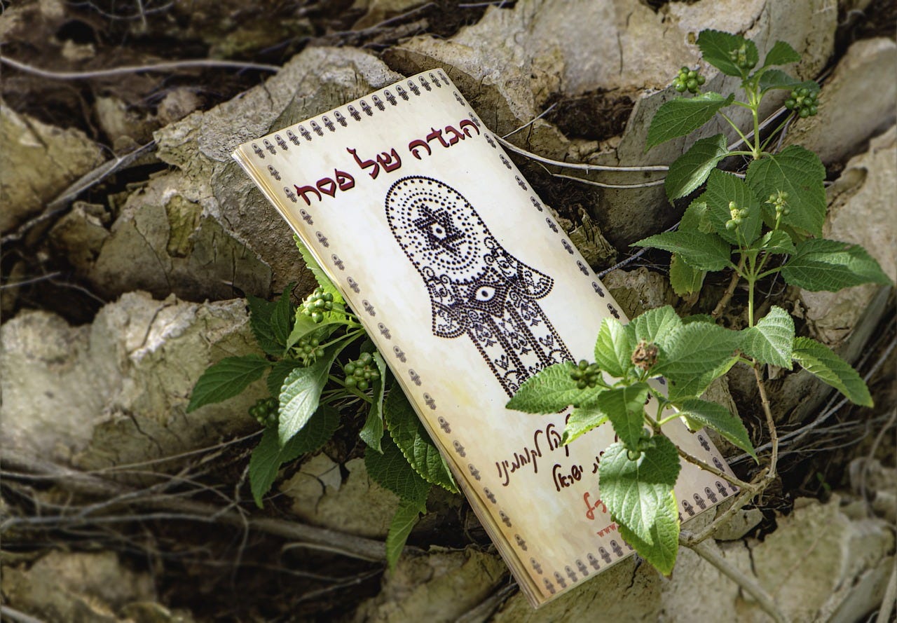 Hagaddah with a hamsah on it on a background of stones and  green plants