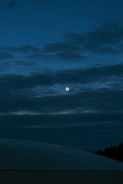 Tyler Knott Gregson Fuji photos