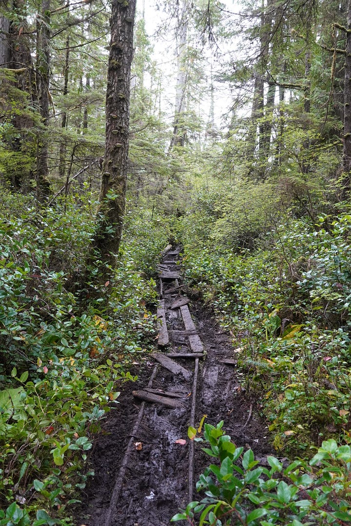 What the trail taught me about patience, presence, and leading from within.