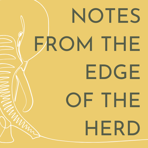 Notes from the Edge of the Herd