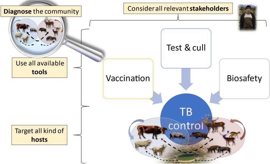 Bovine Tuberculosis Control and Eradication: Progress and Persistent ...