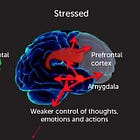 Combatting Amygdala Hijack: Strategies for Emotional Control and Recovery