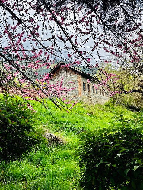 photos-of-kashmir