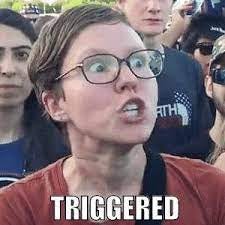 The Deus Vult meme followed by the Triggered meme, and an Extinction Rebellion protest