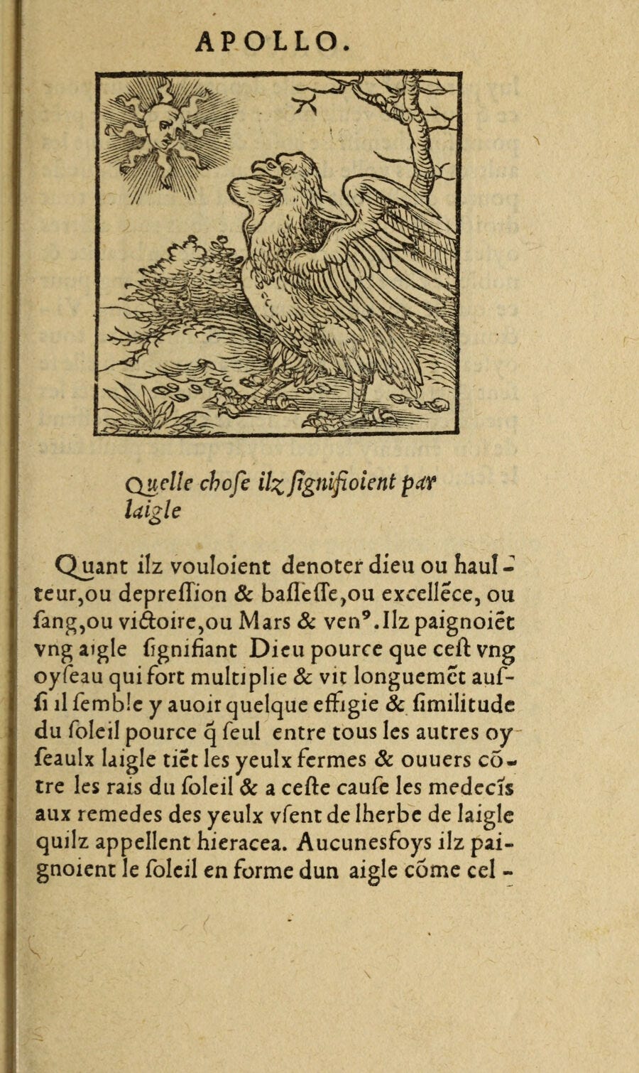 Incisione del 1543: un’aquila ad ali aperte guarda il sole di fronte.