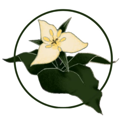 Trillium.eco