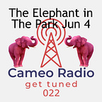 The Real Life Network