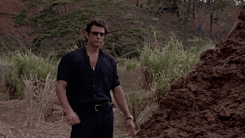 Jeff Goldblum What GIF by Jurassic World - Find & Share on GIPHY