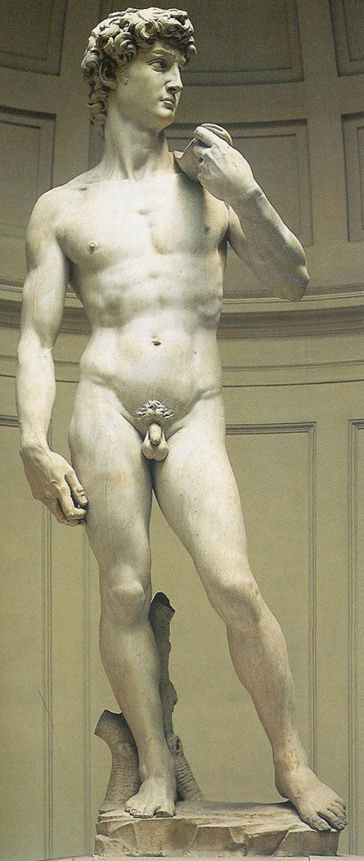 https://www.artsalonholland.nl/uploads/illustraties-groot/6f390cbb-2416-483f-bf8f-33da545f0c00/3013794525/MICHELANGELODavid.jpg