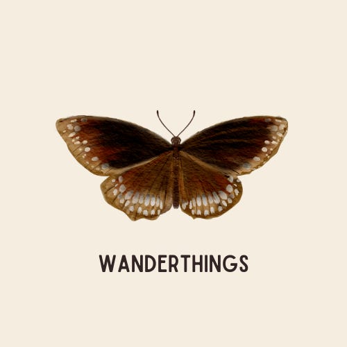 Wanderthings