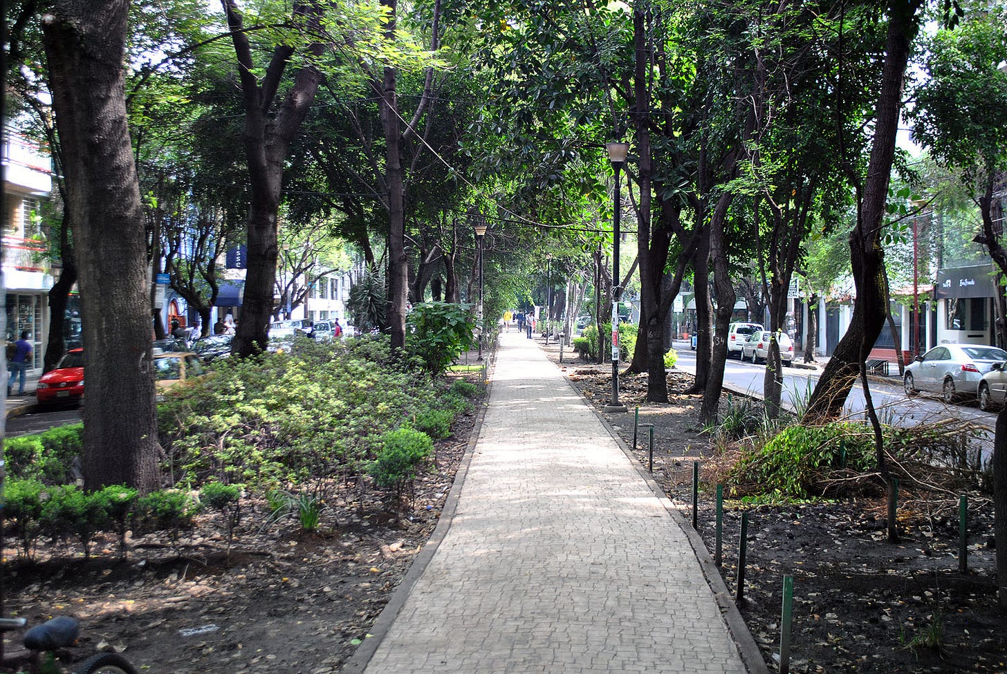 La Condesa: origen de una de las colonias favoritas de la CDMX - Infobae