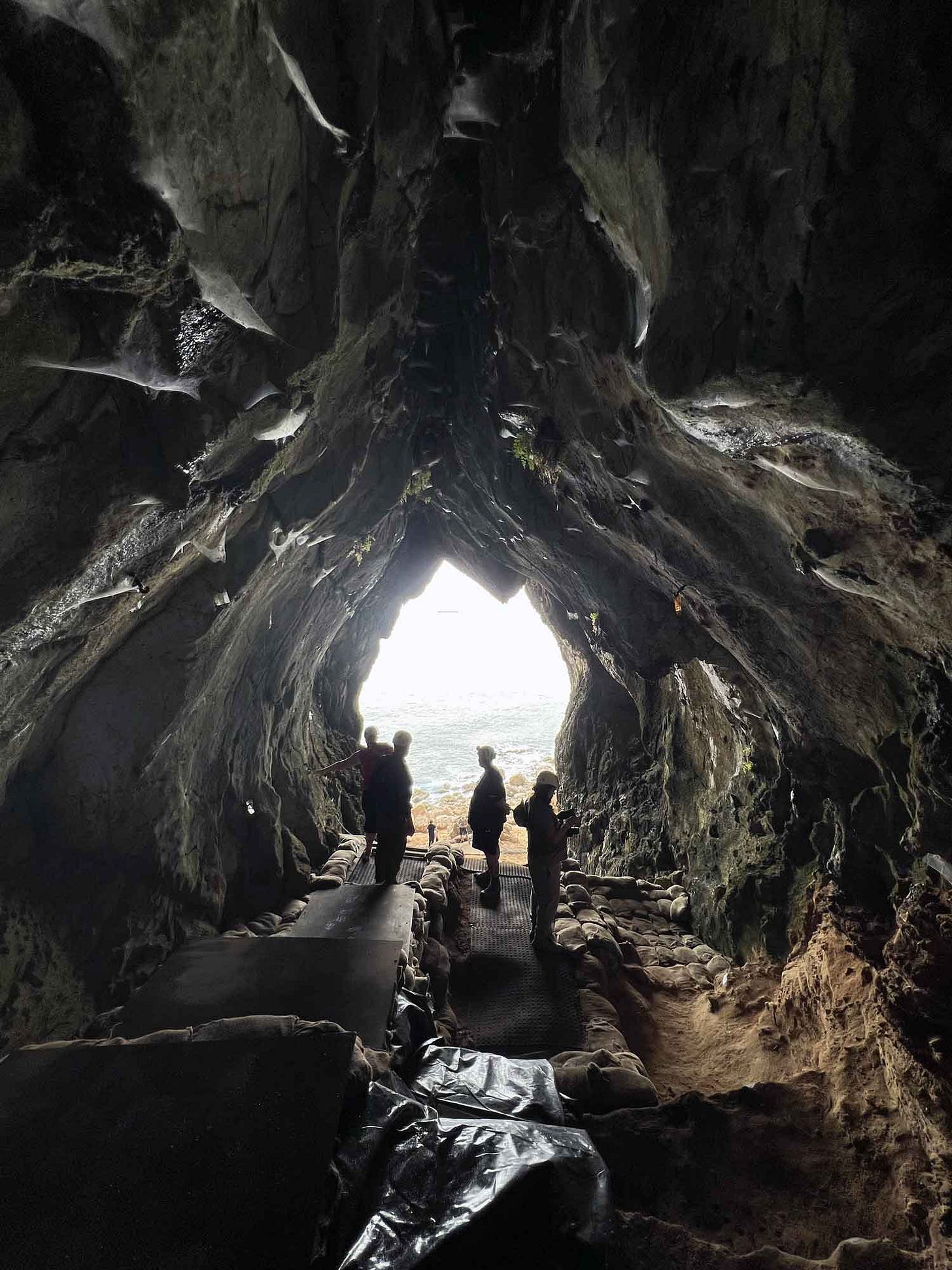An arched cave ceiling, archaeological deposits surrounded by sandbag walls, four archaeologists standing silhoutted by the bright sea outside the entrance An arched cave ceiling, archaeological deposits surrounded by sandbag walls, four archaeologists standing silhoutted by the bright sea outside the entrance