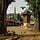 Lost In Ottoman Lands