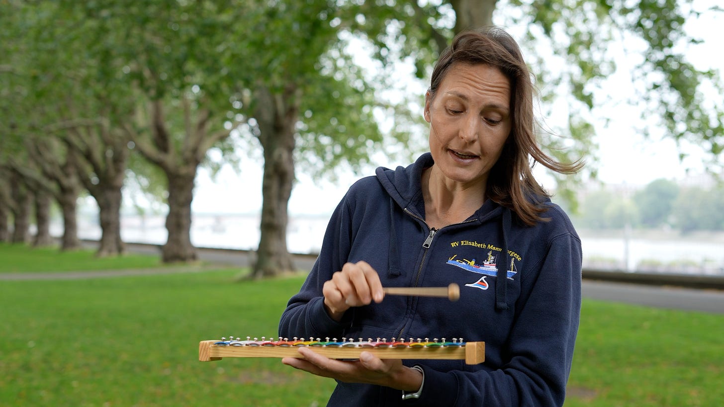 A woman in a blue hoodie, with brown hair, plays a child's xylophone in a park by the river. A woman in a blue hoodie, with brown hair, plays a child's xylophone in a park by the river.