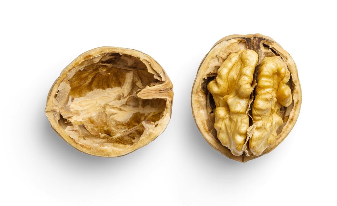 brown and beige round bread