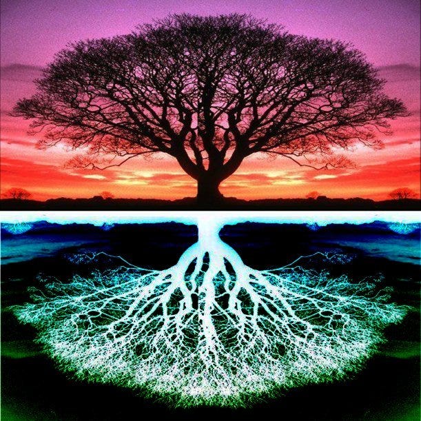 Tree of Life Mirror Image