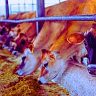 New Montana Bill Would Ban mRNA Shots in Animals: HB 418