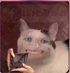 This may contain: a woman is holding up a cat's nose to show it's teeth