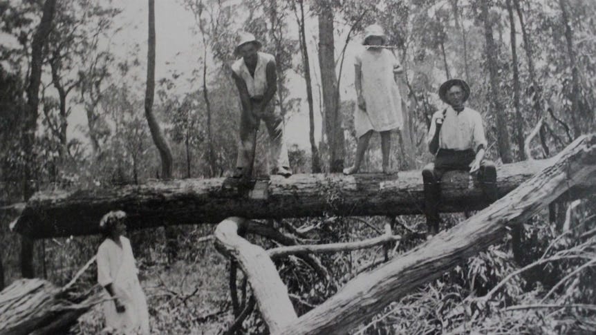 From Gallipoli to Australian farms: Soldier settler success and failure and  contribution to the future of agriculture - ABC News