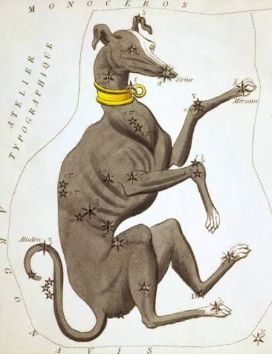 File:Sidney Hall - Urania's Mirror - Canis Major.jpg - Wikimedia Commons