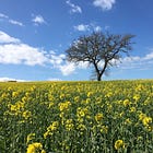 The spirit of our grandfathers