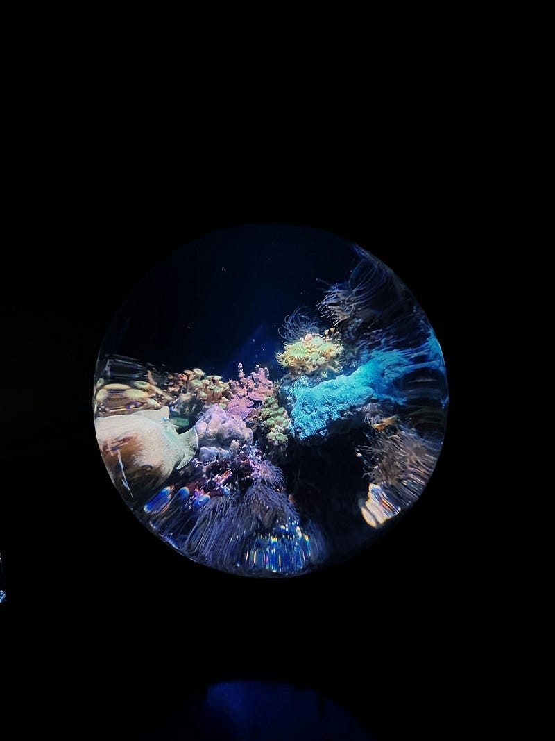 A colourful circle against a black background