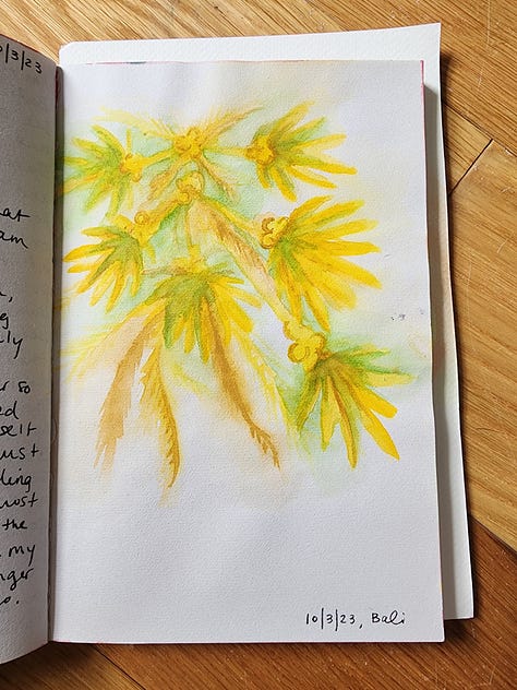 series of watercolor paintings in a sketchbook with flowers, roots, palm trees, and abstract artworks